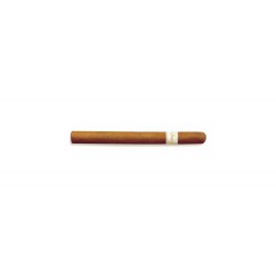 cigare Davidoff Ambassadrice