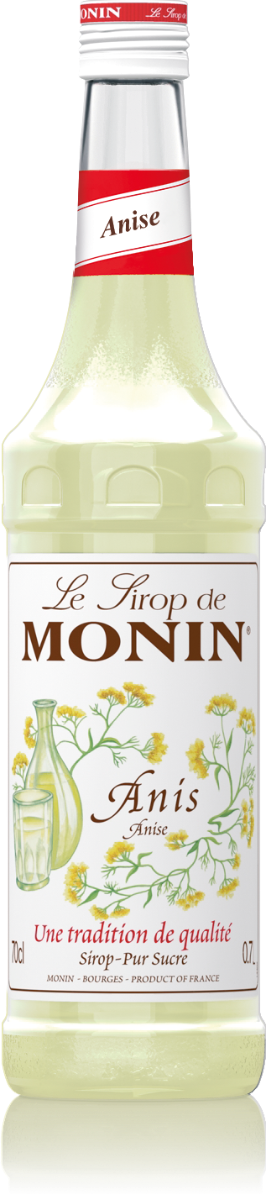 MONIN Anise syrup 70 cl