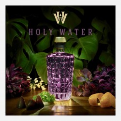 Holy Water Gin LAMPONE 0.5l - 40%