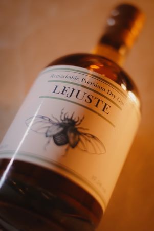Gin Lejuste 0.5l - 37,5% vol.